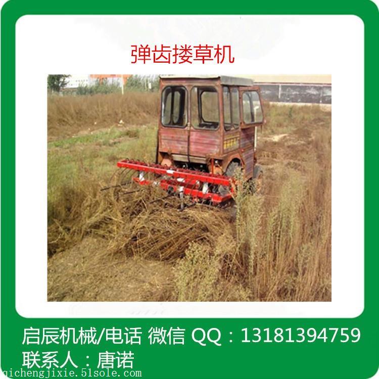 直销优质悬挂式弹齿搂草机9GL-2.1 四轮带牧草搂集机械 质保一年