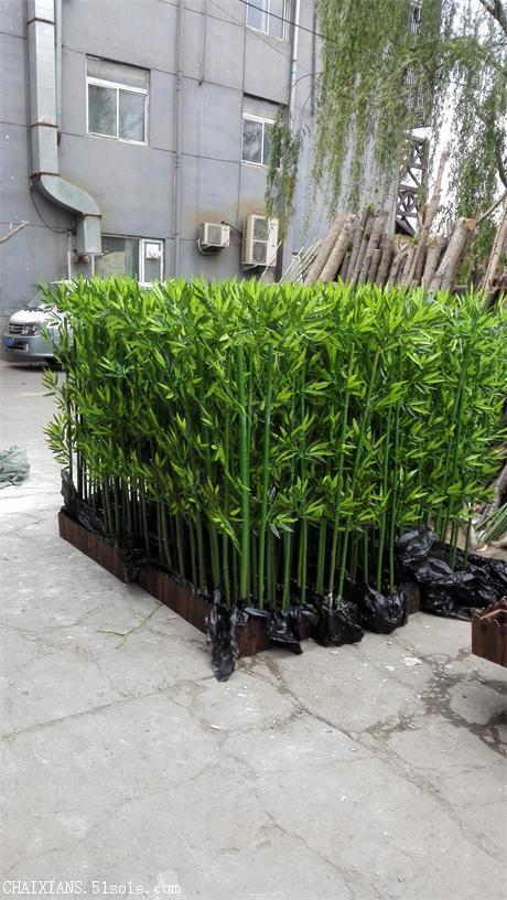 大量竹子竹竿批发北京包送北京地区竹竿行情