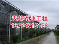 哈尔滨水稻催芽机,水稻催芽设备