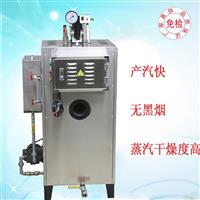 热卖30kg燃油蒸汽锅炉    各行业专用设备