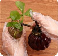供应一次性pe手套制造厂家、洁净生活每一天
