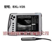 羊用B超机需要多少钱