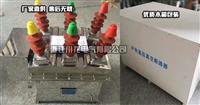 ZW8-12柱上高压真空断路器厂家直销
