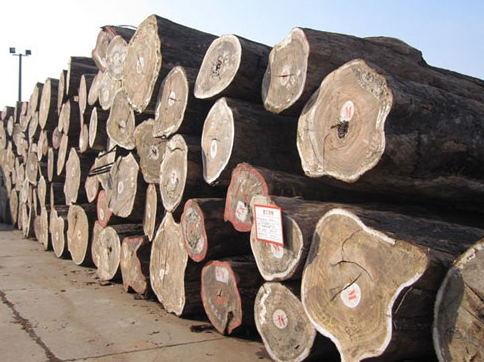 【三门台茗木业有限公司出售进口红斑马原木】价格,厂家,原木材-搜了