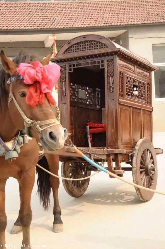 风驰马具马车杭州皇家马车婚庆马车