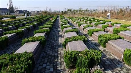 林园公墓销售网