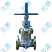 TPZ42H自动调平油封闸阀 上海炎唐