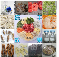 果蔬真空冻干机