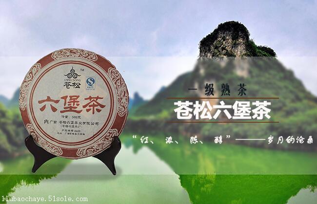 cctv节目组走进苍松六堡茶厂寻访六堡茶之源