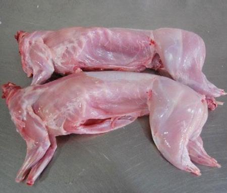 兔前腿/吨 7800元