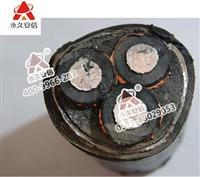 185平方高压电缆哪里买-中策电线电缆厂家直销