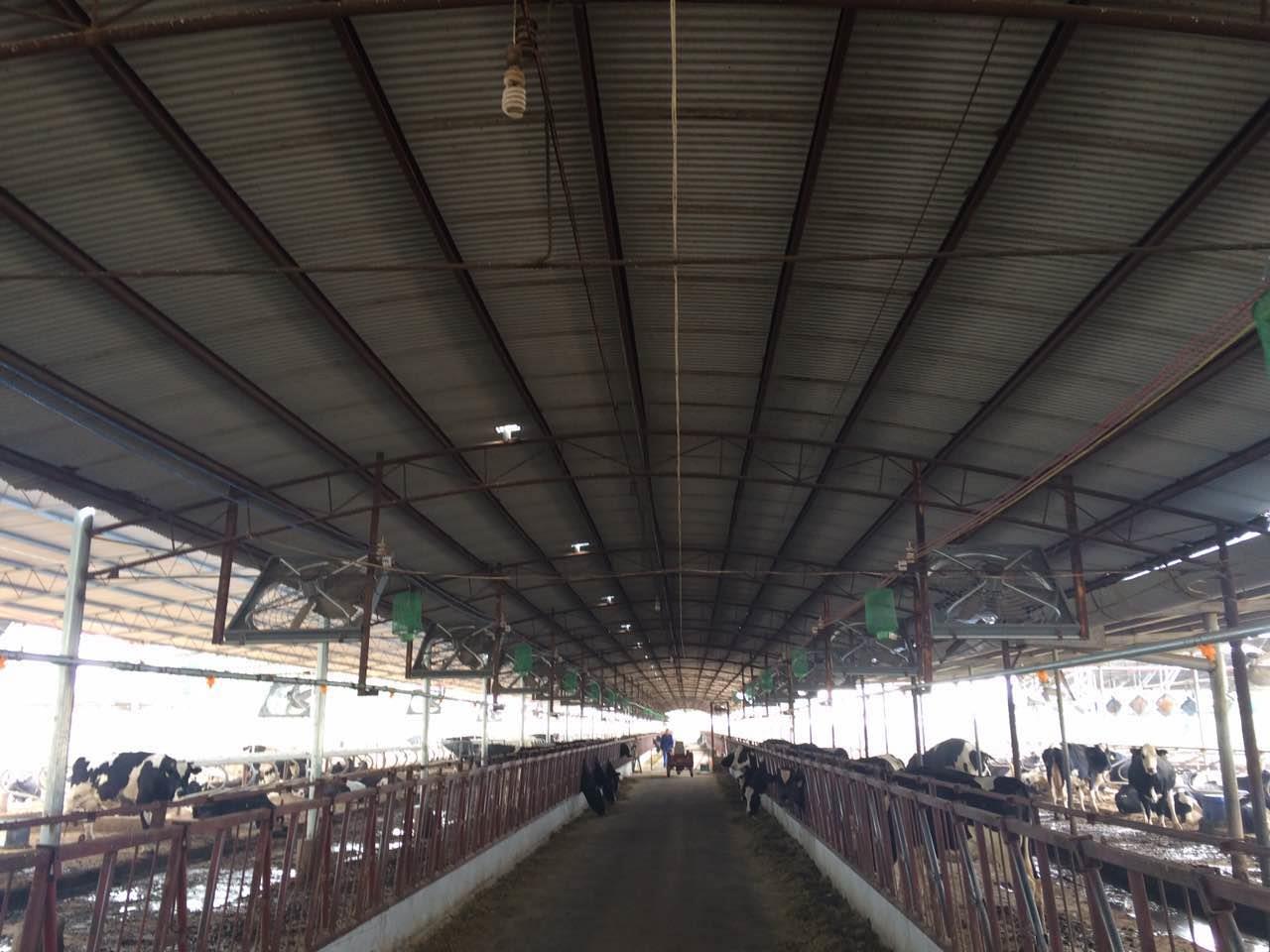 首页 养殖 养殖器械设备 养殖消毒设备 >内蒙古养牛场高压喷雾消毒机