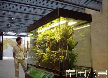长沙大型生态鱼缸定做植物造景就找南国水景 价格 厂家 搜了网