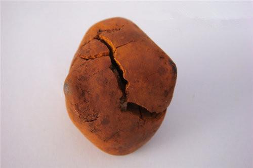 牛黄市场收购价格