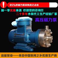 高效不锈钢高压磁力泵 生产厂家 