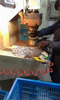 QDLF8-80立式不锈钢多级离心泵 多级轻型泵立式管道增压水泵