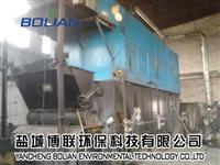淮安金湖燃煤锅炉改造生物质锅炉-规范施工