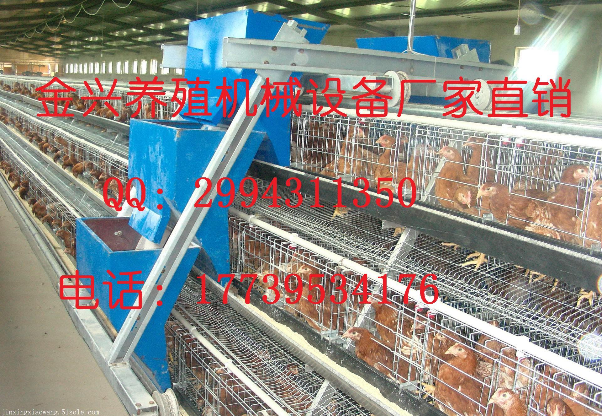 金兴养殖设备阶梯式层叠式鸡笼自动上料JX-069 上料机