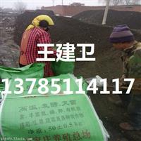 利津干鸡粪厂家干鸡粪价格