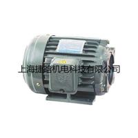C05-43B0 5HP-4P群策内轴式油泵电机