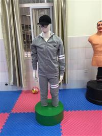 仿真宣泄人介绍