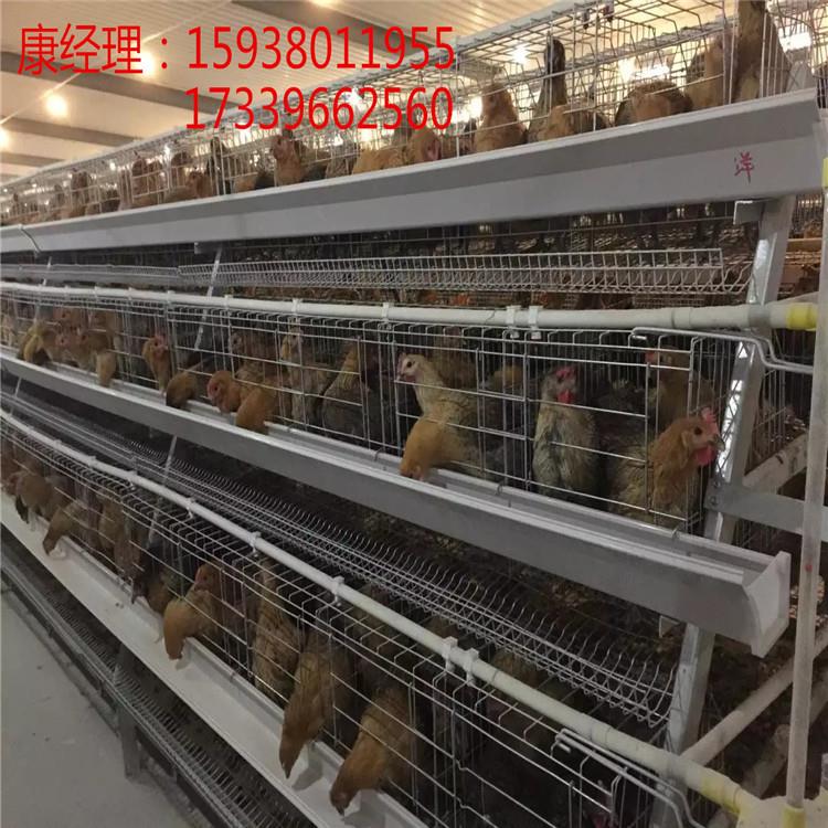 henanjinxingmuye
