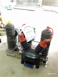 ZW32-24F/630-20智能真空断路器看门狗