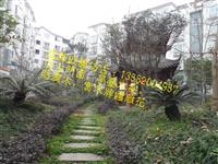 成都哪有仿古亭子厂