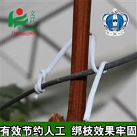 绑葡萄扎丝葡萄绑枝扎带 塑料丝绑蔓条扁扎线包胶绑带线捆架扎丝 