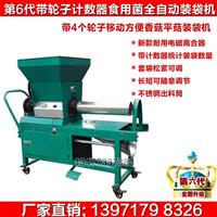 香菇自动装袋机 平菇生料装袋机 平菇全自动装袋机厂家 木耳全自