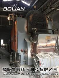 泰州姜堰6吨燃煤锅炉改造生物质选择规范厂家